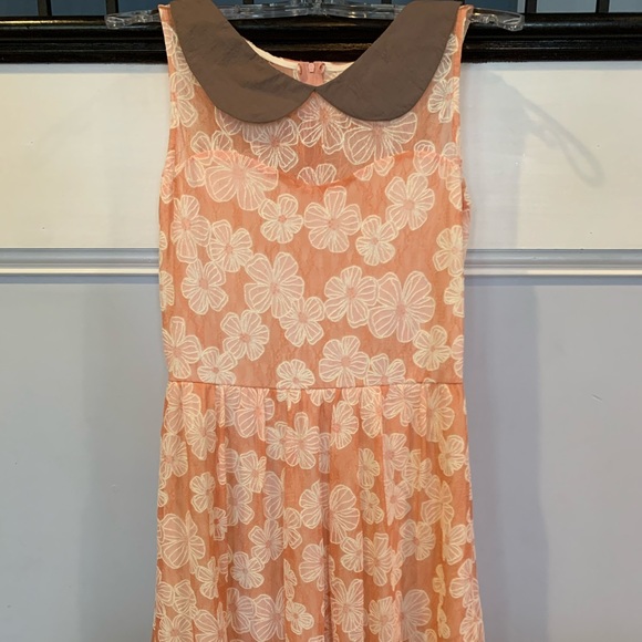 Womens Floral Dress W Peter Pan Collar Size M - Picture 7 of 8